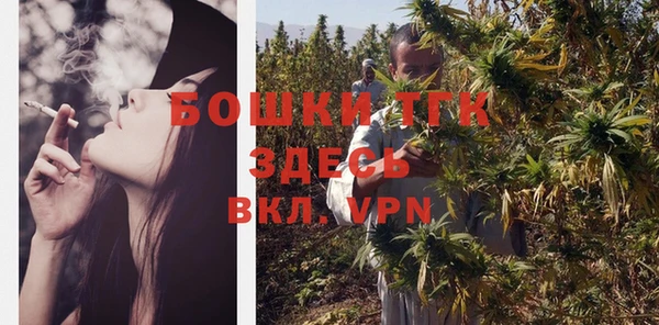 дмт Белокуриха