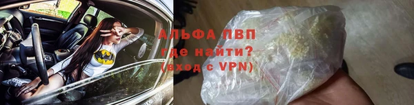 дмт Белокуриха