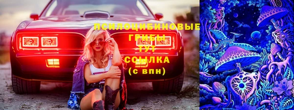стафф Беломорск