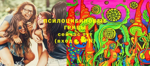 дмт Белокуриха