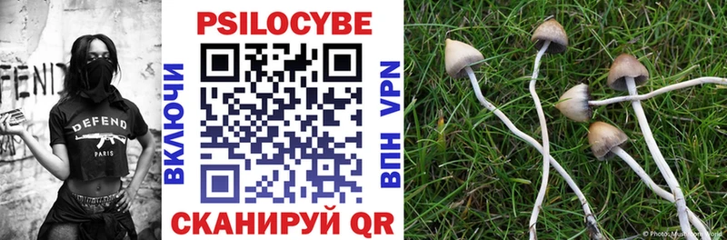 гидра ТОР  Воскресенск  Псилоцибиновые грибы Magic Shrooms 